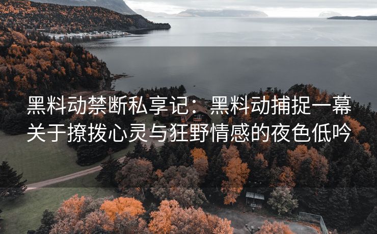 黑料动禁断私享记：黑料动捕捉一幕关于撩拨心灵与狂野情感的夜色低吟